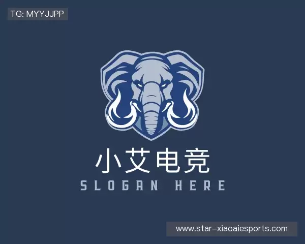 解读小艾电竞首页